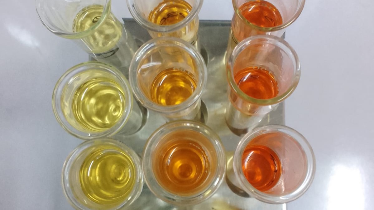 Test-tube fractions collected during column chromatography of a fungal extract