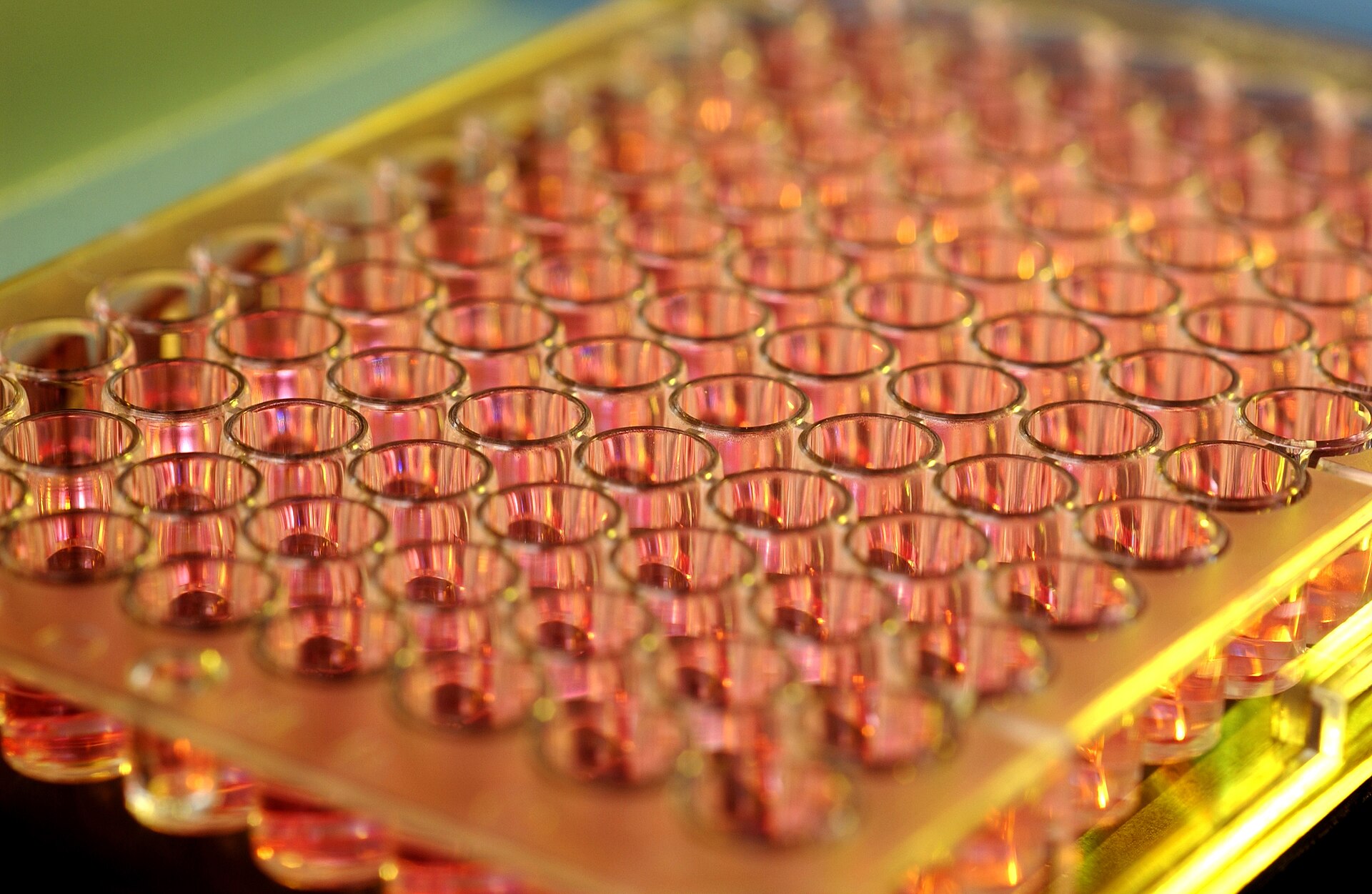 Rows of clear laboratory sample vials used to preserve and track analytical samples during unknown compound identification