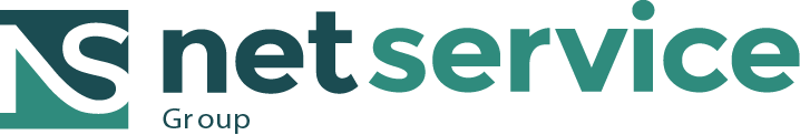 Net Service Logo